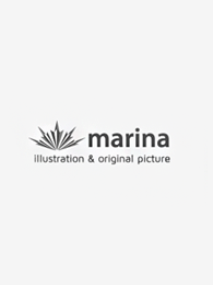 【個展】『MARINA EXHIBITION 2022』5/27からスタート！